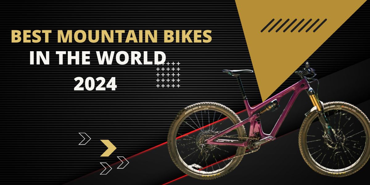 Best Mountain Bikes in the World 2024